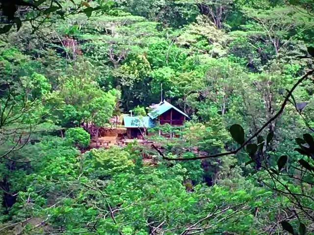 Origins of The Vintage Villa